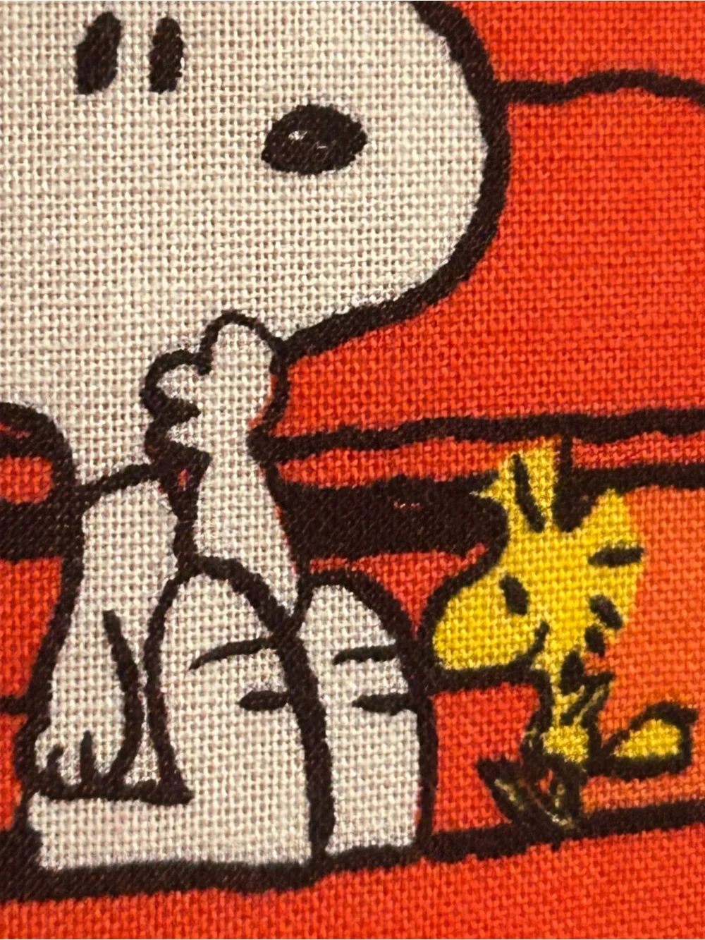 Peanuts Gang snoopy woodstock
